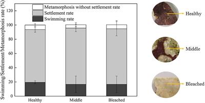 Bacterial Communities Associated With Healthy and Bleached Crustose Coralline Alga Porolithon onkodes